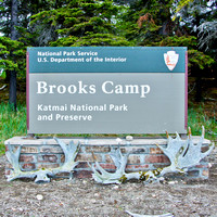 BROOK'S CAMP
